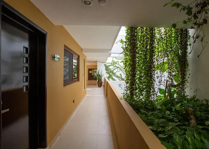 Apartment Corner 2 Bedrooms 3rd Floor Facing The Ocean At Elfaro By Dpm