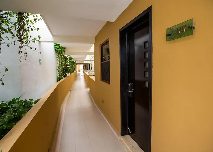 Corner 2 Bedrooms 3rd Floor Facing The Ocean At Elfaro By Dpm